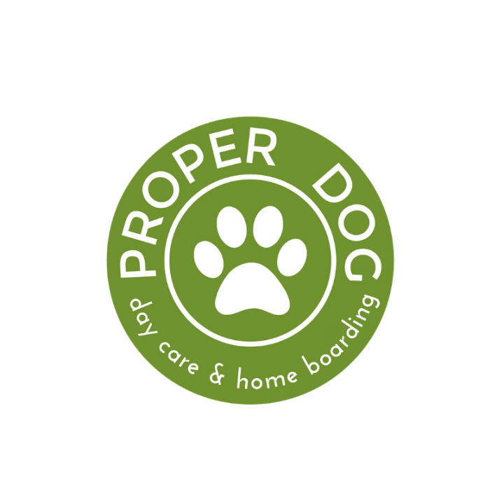 Proper Dog | digital services by Awenek